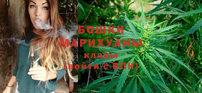 Бошки марихуана SATIVA & INDICA  продажа наркотиков  Апатиты 